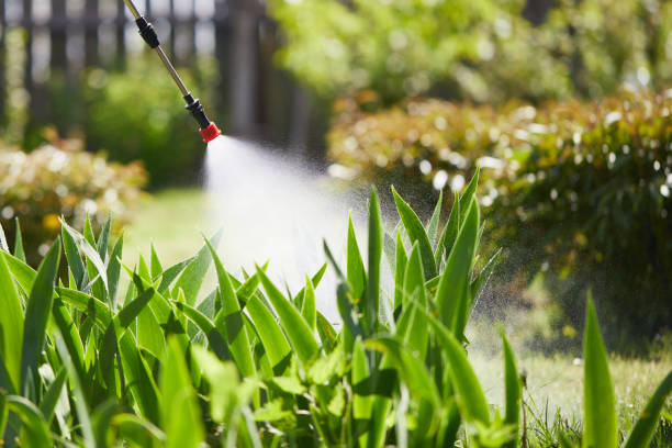 24/7 Emergency Mosquito Control experts in Bothell West, WA