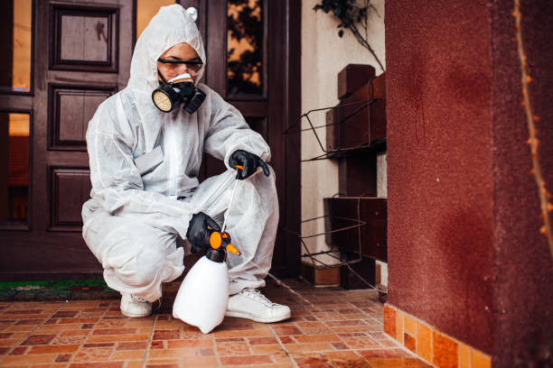 Reliable Mosquito Control contractor in Bothell West, WA by Show Me Pest Control